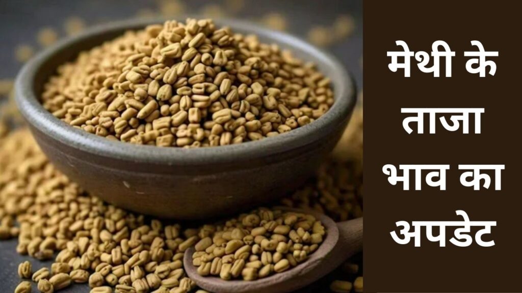 aj ke methi ka bajar