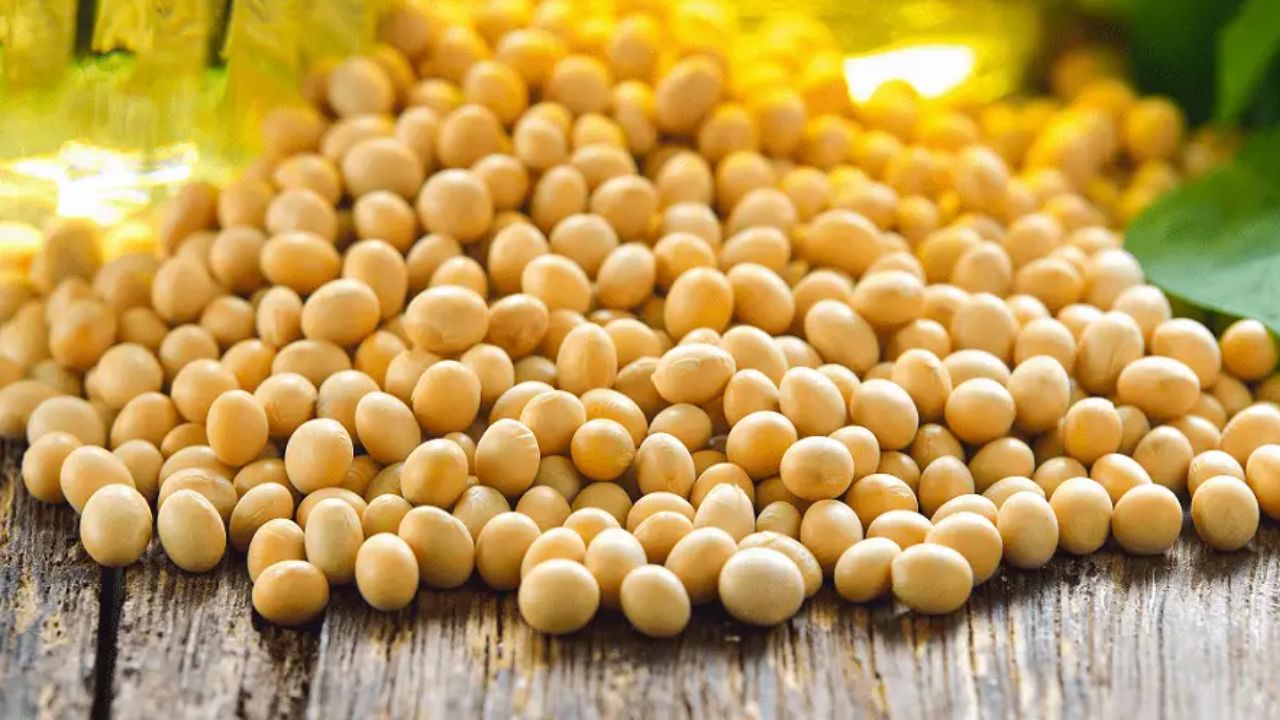 soybean latest update 2025