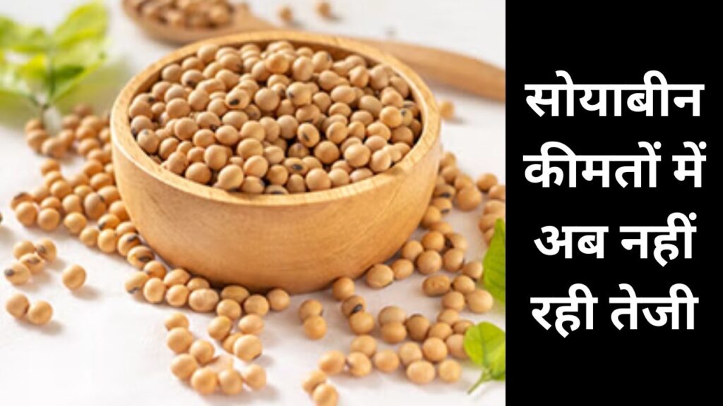 soybean mandi bhav 25 march 2025