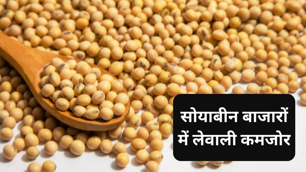 soybean mandi bhav