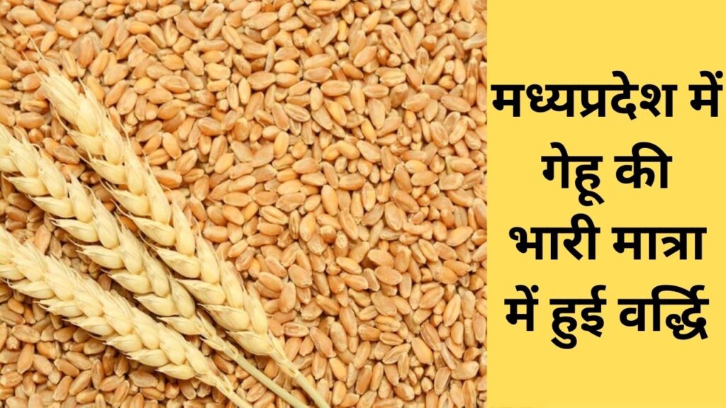 wheat mandi price list