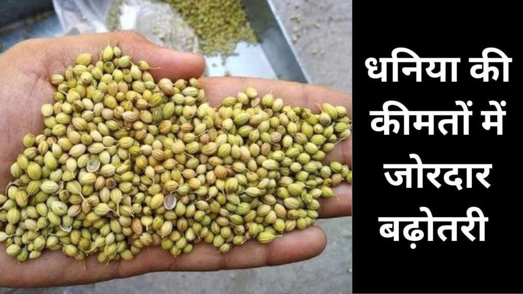 aj ke dhaniya mandi bhav