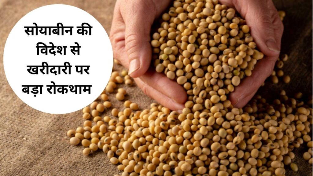 soybean latest update today