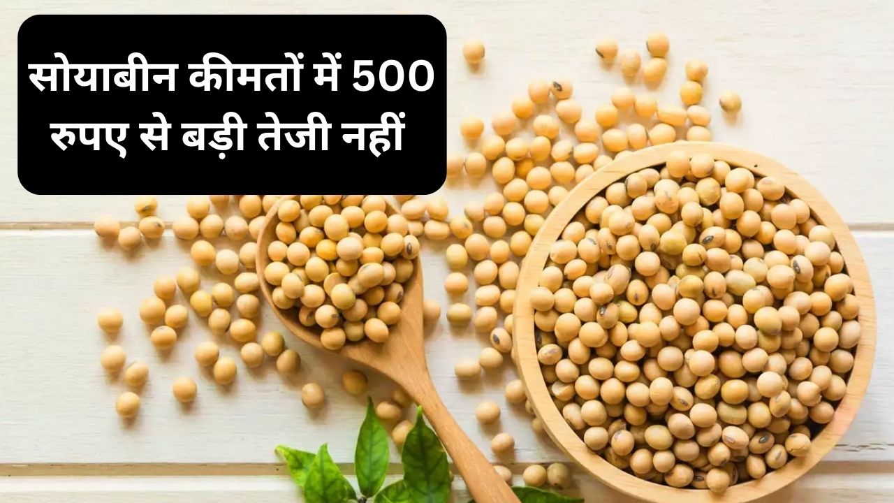soybean price today